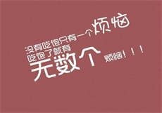 qr九尾狐狸软件
